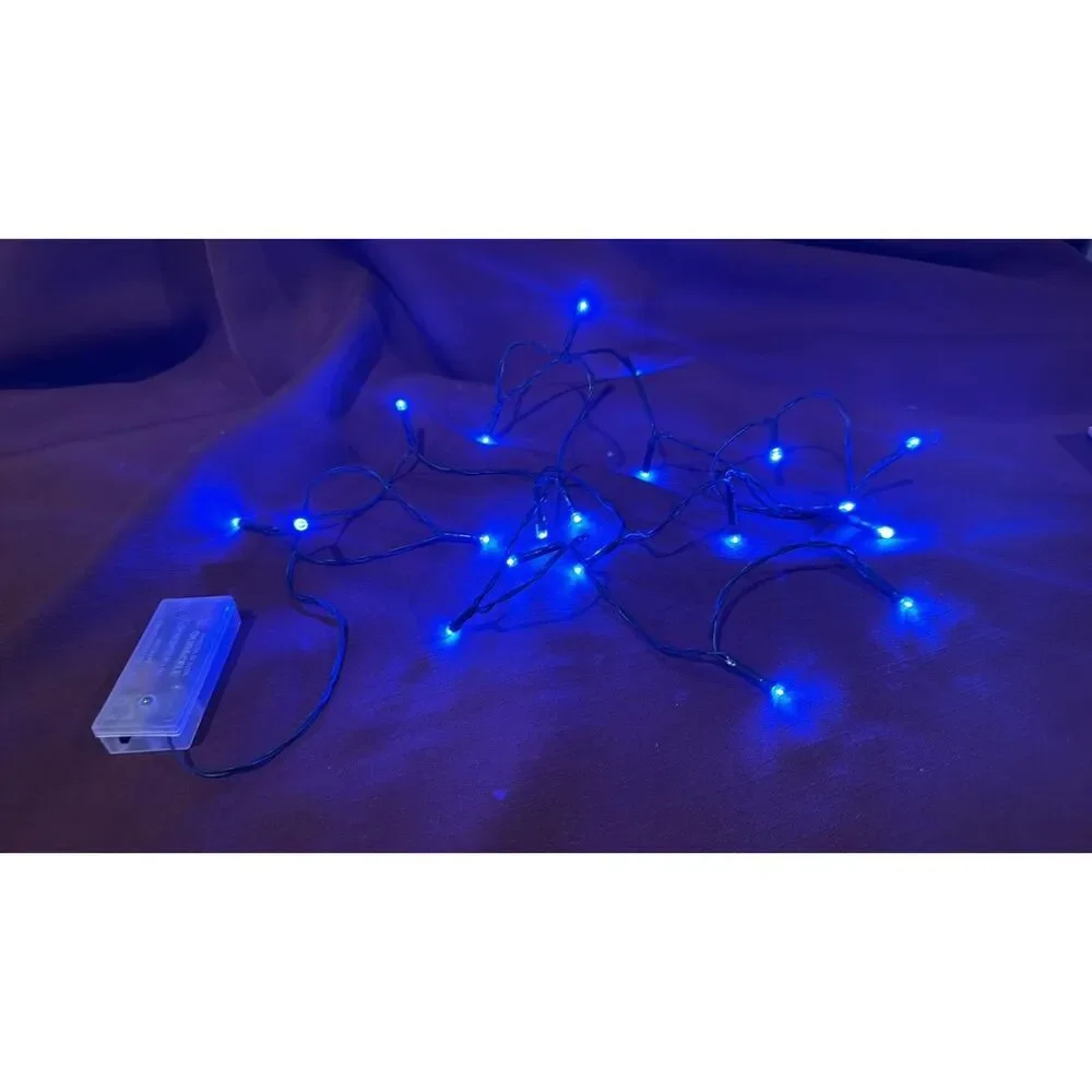 Blue Christmas Lights Battery Operated String Lights 20 Lights 4 Foot
